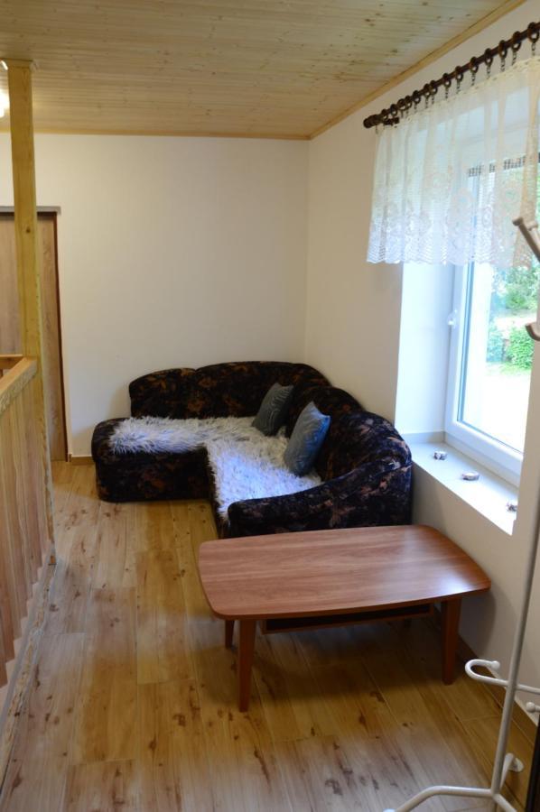 Horsky Apartman Pod Zelenou Strechou Bartosovice v Orlickych Horach Εξωτερικό φωτογραφία